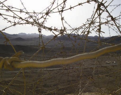 barbed wire
