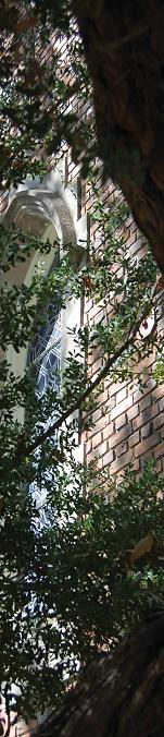 Window